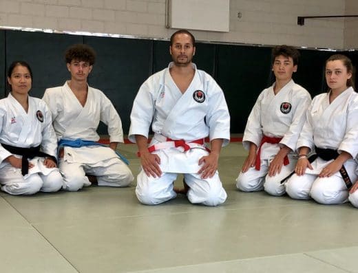 Seibukan Paris 12 — sports de combat (photo 3 sur 4)