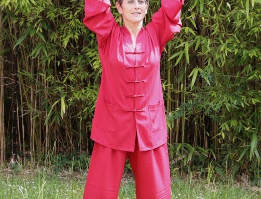 Nitchitaï — tai chi et qi gong, Paris 15 (photo 3 sur 4)