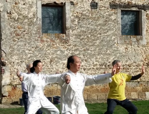 Association Européenne de TaiChiChuan style WU — tai chi et qi gong, Paris 10 (photo 3 sur 7)