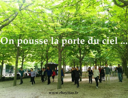 Association Rhe Yi Tao — tai chi et qi gong, Paris petite couronne (photo 3 sur 5)