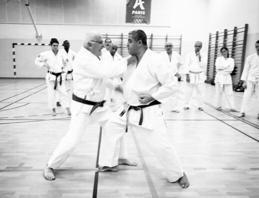 France Shotokan Paris — sports de combat, Paris 06 (photo 3 sur 6)