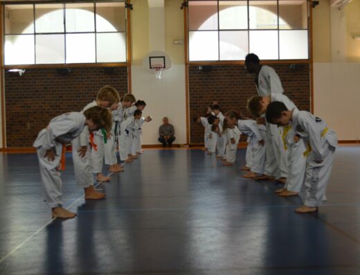 Taekwondo Club Saint-Germain — sports de combat, Paris 05 (photo 2 sur 5)