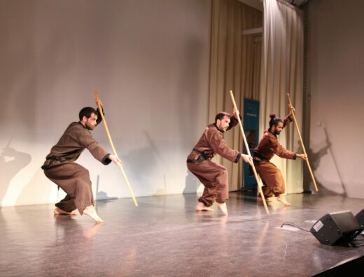 Association Vô Vietnam Paris — sport, Paris 12 (photo 3 sur 7)