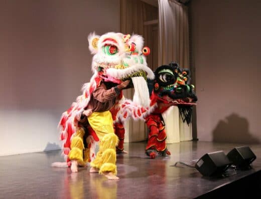 Association Vô Vietnam Paris — sport, Paris 12 (photo 2 sur 7)