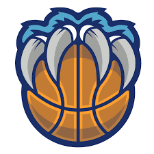 Basket Paris 14